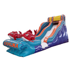 Water Slide Rentals rentals in East Longmeadow, MA