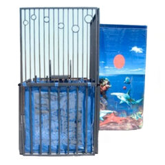 Dunk Tank & Party Game Rentals rentals in East Longmeadow, MA