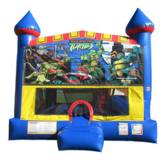 Ninja Turtles 5-in-1 bounce house rental in East Longmeadow, MA