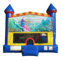 Sleeping Beauty 5-in-1 bounce house rental in East Longmeadow, MA
