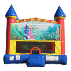 Sleeping Beauty Castle bounce house rental in East Longmeadow, MA