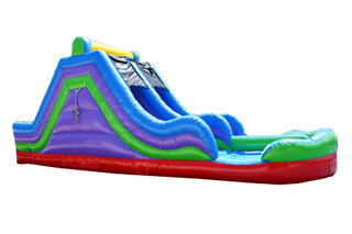 Monster Dual Lane Wet/Dry Slide rental in East Longmeadow, MA